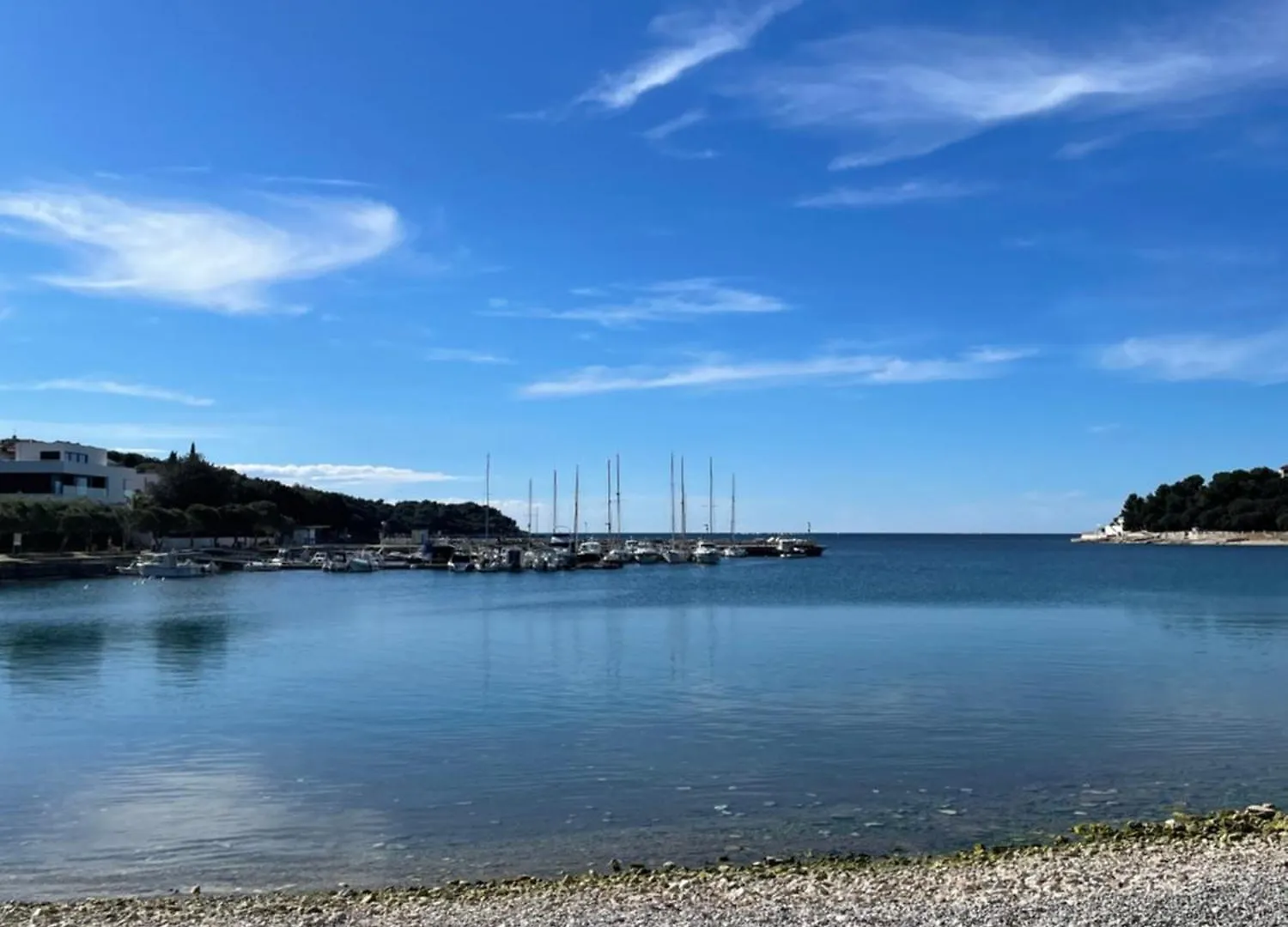 Apartments Antic